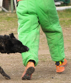 Pantalon Semi Concours