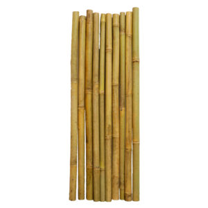 Baton de bambou